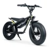 LIL RIPPA 16" KIDS ELECTRIC BIKE
