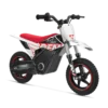 WARRIOR KIDS SX-E250 Electric Bike