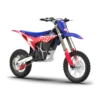 WARRIOR YOUTH SX-E8 Electric Bike