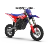 WARRIOR YOUTH SX-E5 Electric Bike