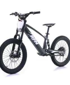 EVO Racing 20 Electric Bike