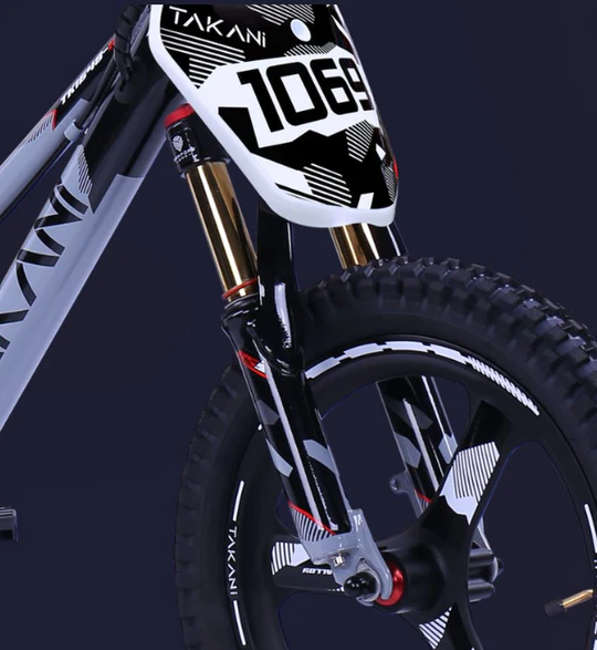 Unravelling Front Shock Absorbers