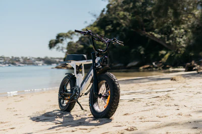 E-BIKES
